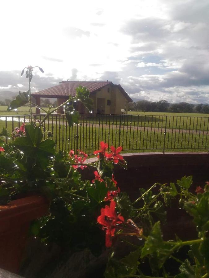 Agriturismo Oasi Del Pianettino Campagnatico Εξωτερικό φωτογραφία