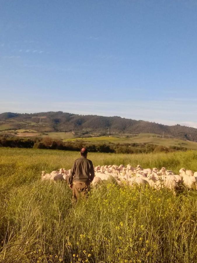Agriturismo Oasi Del Pianettino Campagnatico Εξωτερικό φωτογραφία