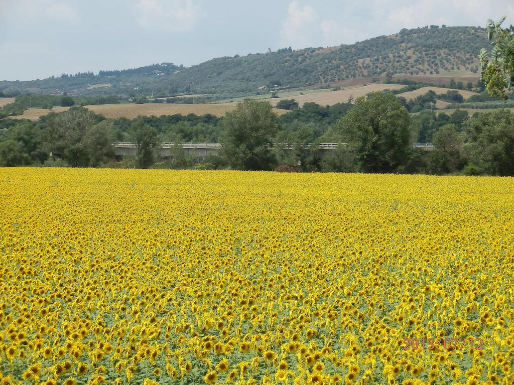 Agriturismo Oasi Del Pianettino Campagnatico Εξωτερικό φωτογραφία